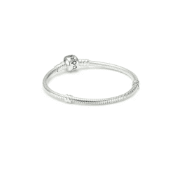 Brățară Classic, model Snake Bone, cu Argint, culoare silver