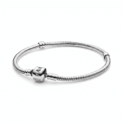 Brățară Classic, model Snake Bone, cu argint, dimensiune 19 cm, culoare silver